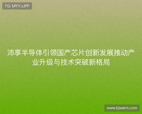 沛享半导体引领国产芯片创新发展推动产业升级与技术突破新格局